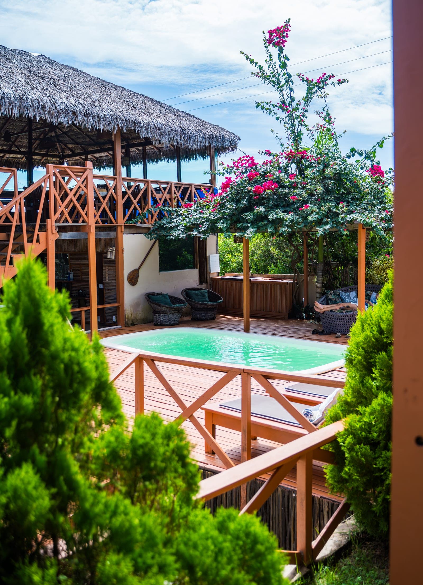 Piscina vista entre o jardim